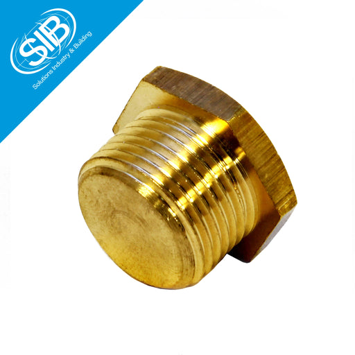 Flameproof brass stopping plugs designed for hazardous zone enclosures, providing secure sealing of unused cable entries in industrial environments.